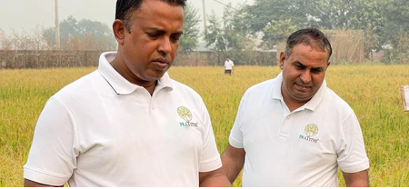How are Pratithi's Organic Everyday Rice different