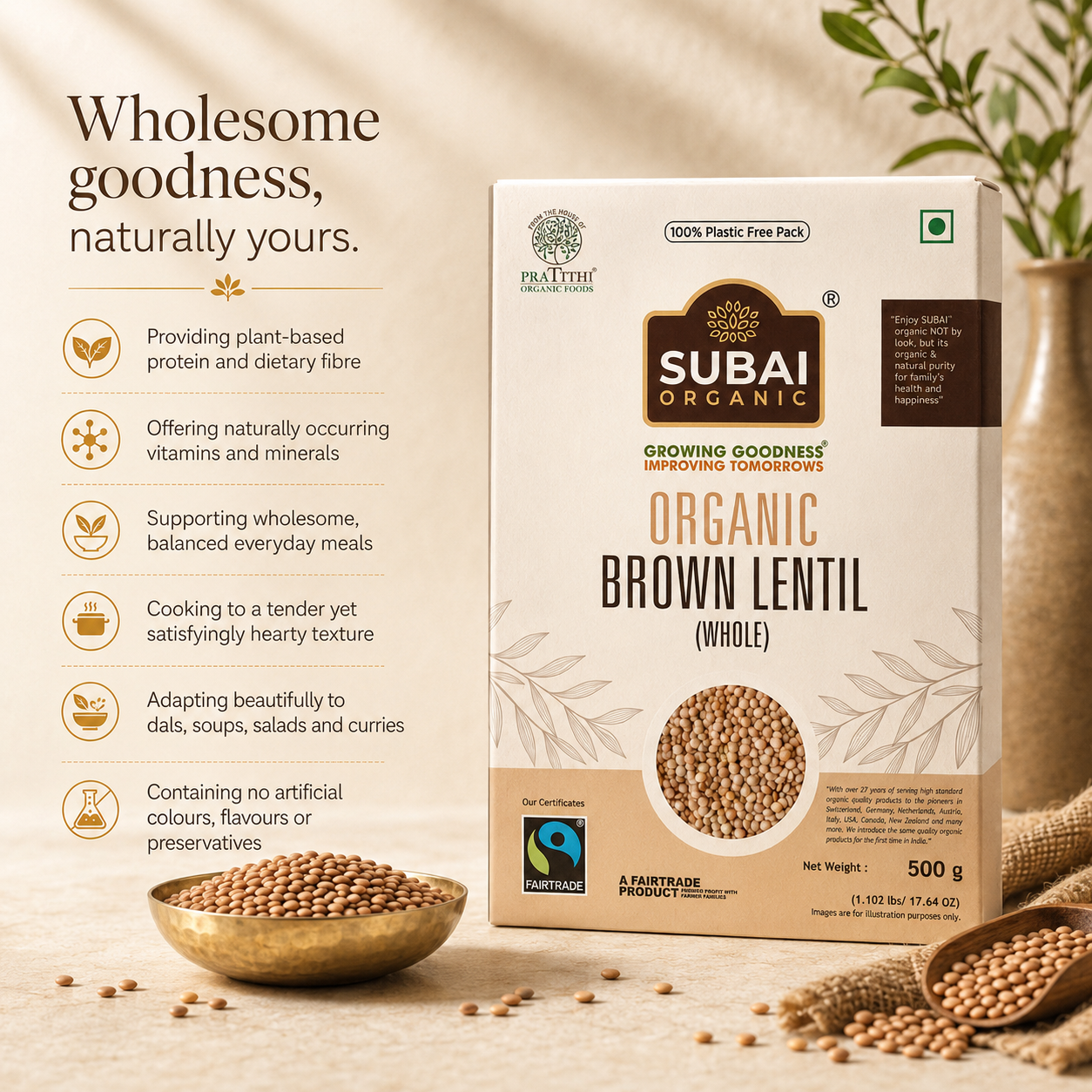 Organic Brown Lentil (500g)